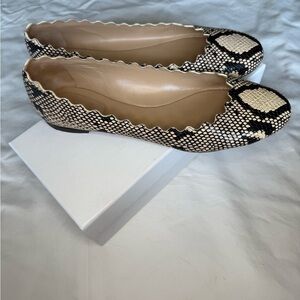 Chloe Snakeskin Patterned Women's Flats